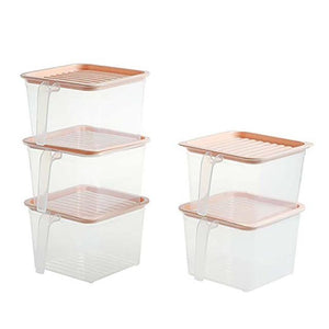 Pink 5 Pcs Set Kitchen Handled Storage Containers with Lids